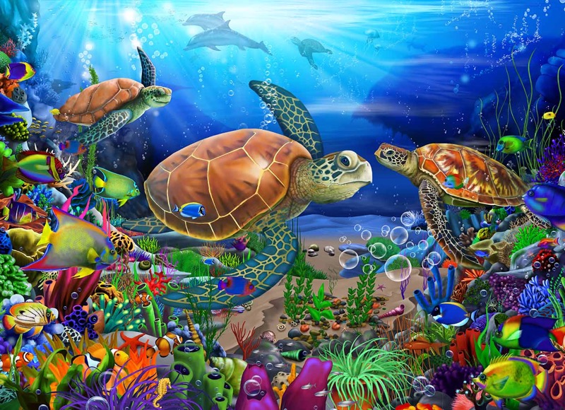 Turtles Ocean Wonders