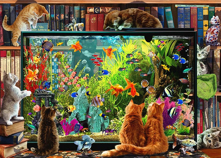 Kitten Aquarium