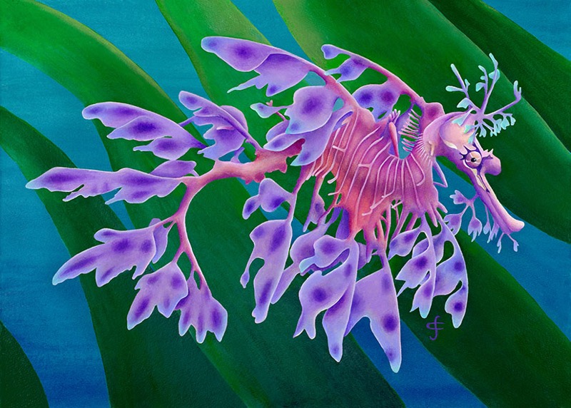 Leafy Seadragon