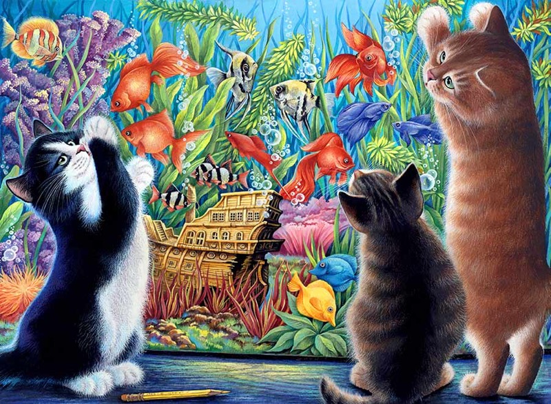 Cat’s Aquarium