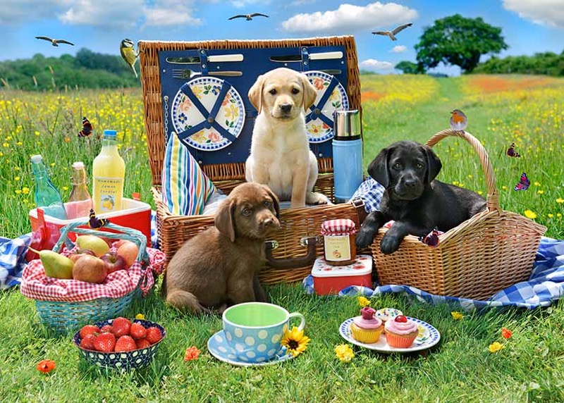 Puppy Picnic DP1538