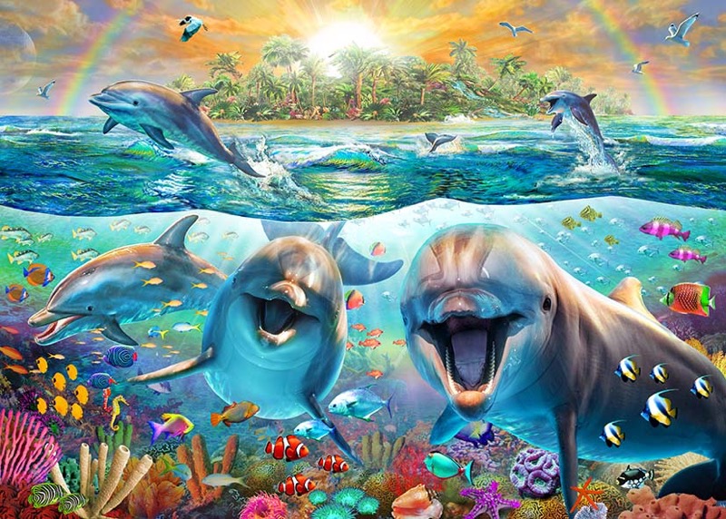 Laughing Dolphins