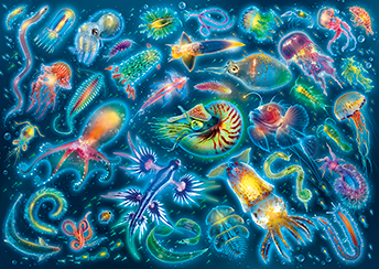 Bioluminiescent Creatures