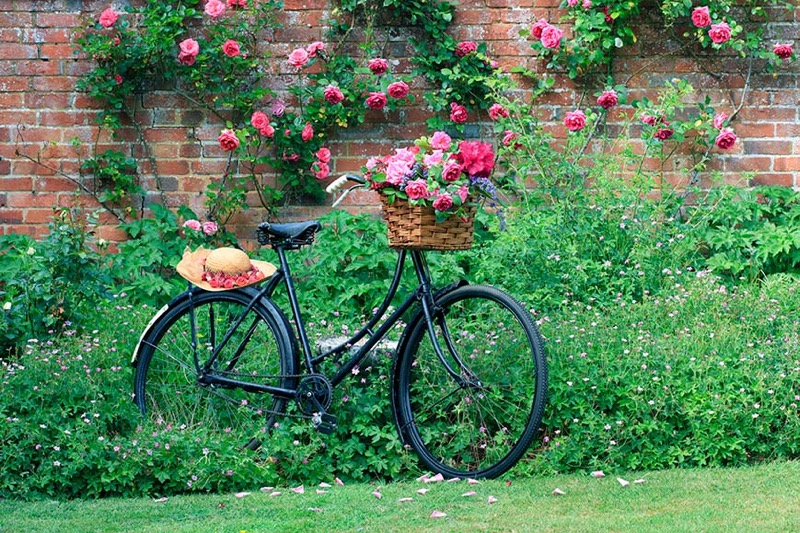 Bike And Flowers F1211H