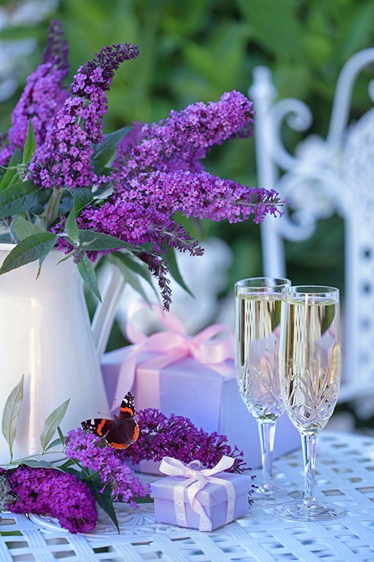 Decorations With Flowers And Butterfly F1231