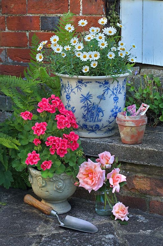 Flower Pots F1288