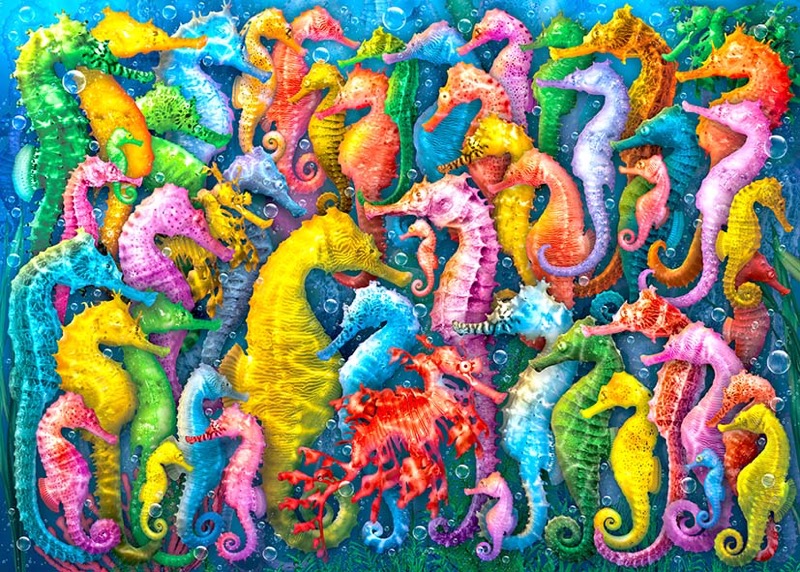 Sea horses