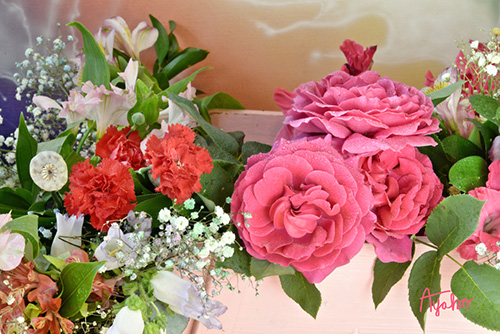 Roses and Carnations Bouquet 8317S