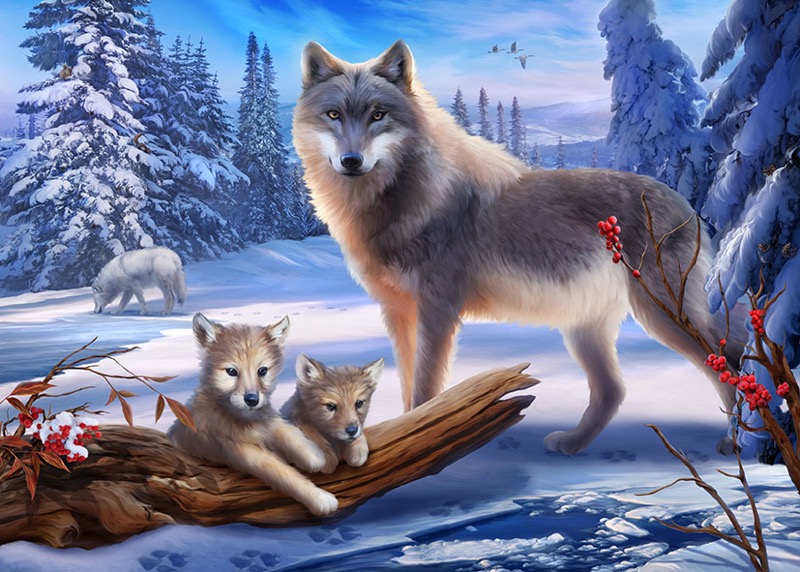 Wolf family