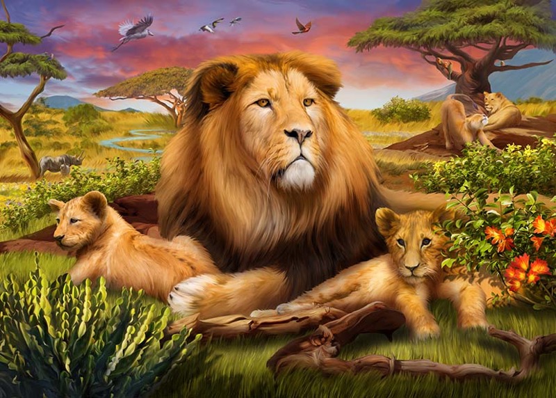 Lion family