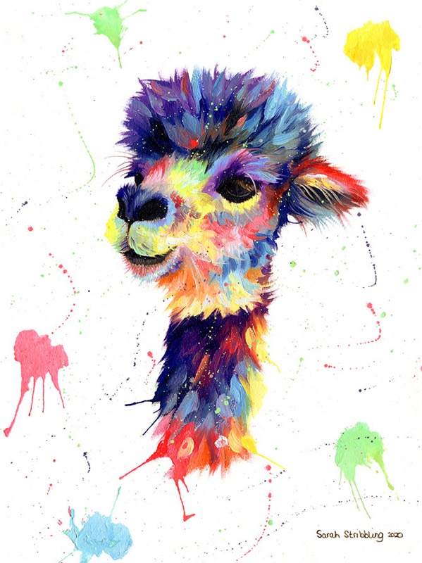 Colourful Alpaca