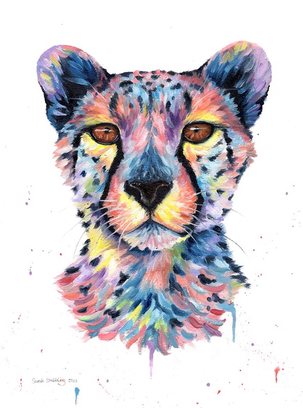 Colourful Cheetah