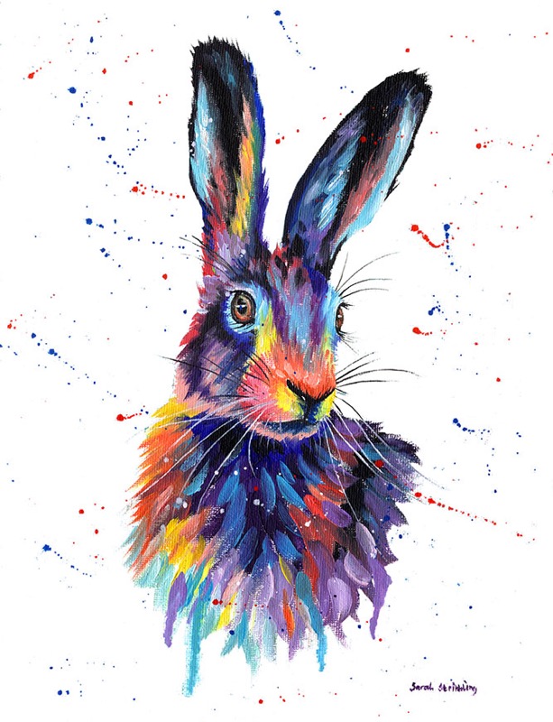 Colourful Hare