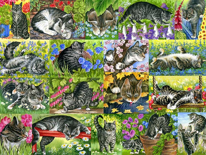 Spring Cats