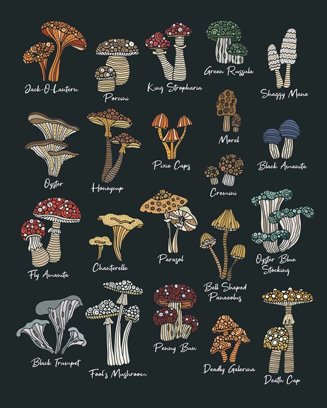 Mushroom chart