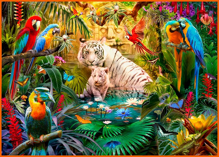 White tigers and birds in jungle