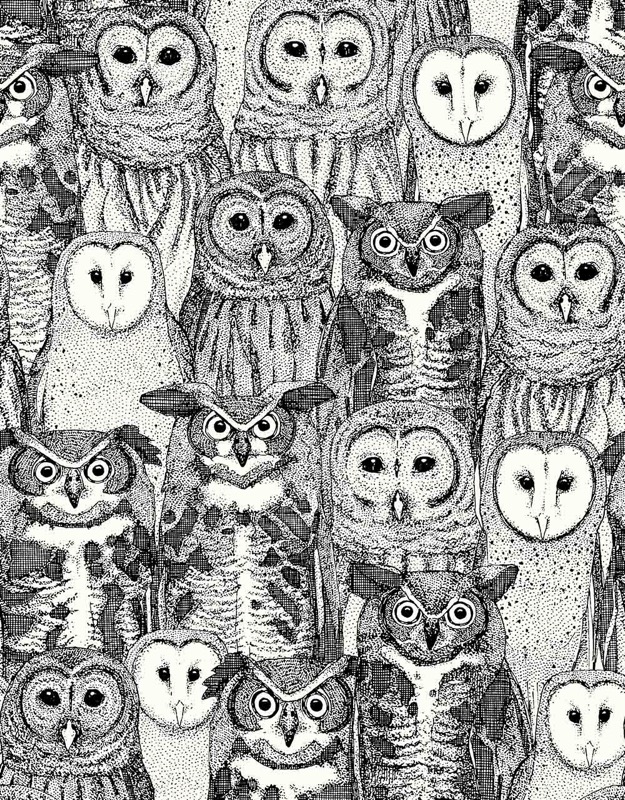 Owls in a row