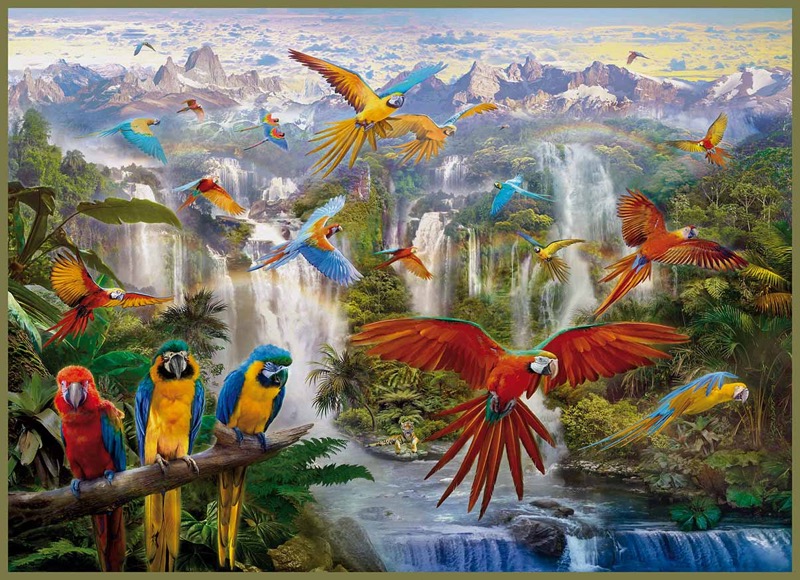 Paradise of parrots