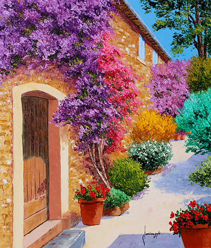 Bougainvillaea in a Provençal alley