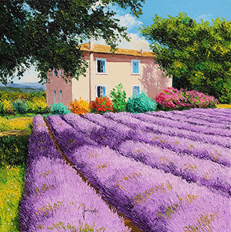 View of the lavender field