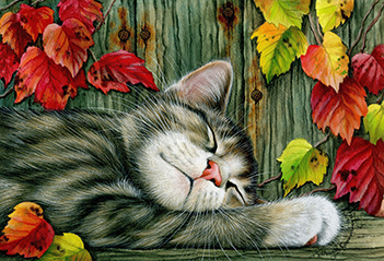 Autumn Siesta