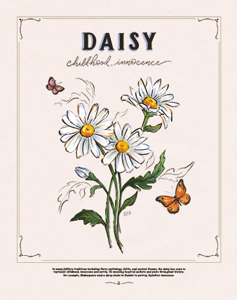 Daisy