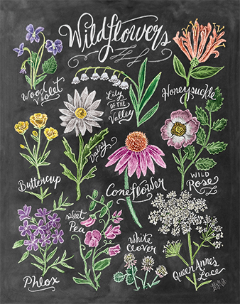 Wildflowers