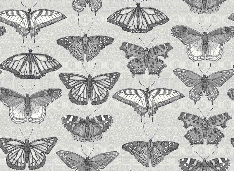 Mono Butterflies