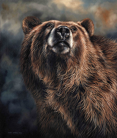 Brown Bear