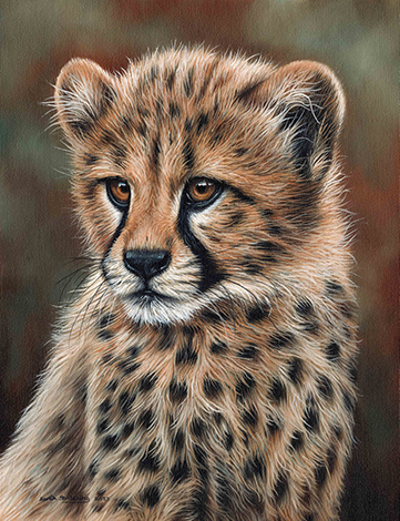 Cheetah Cub