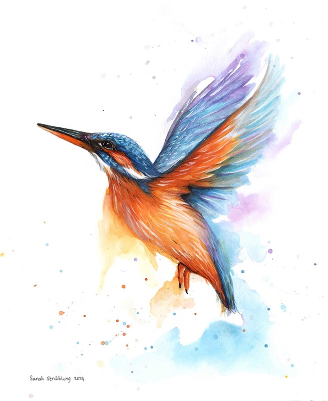 Kingfisher Water colour