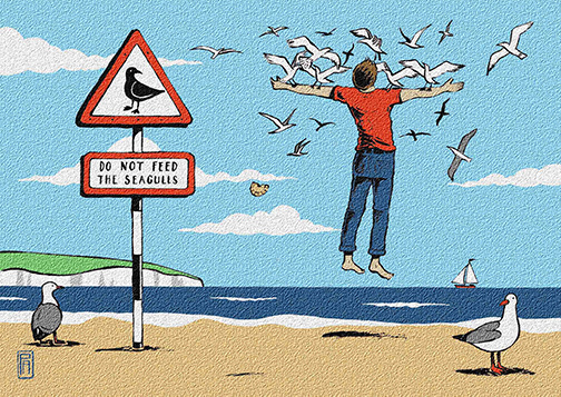 Do Not Feed the Seagulls