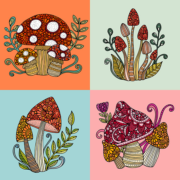 The Four Toadstools