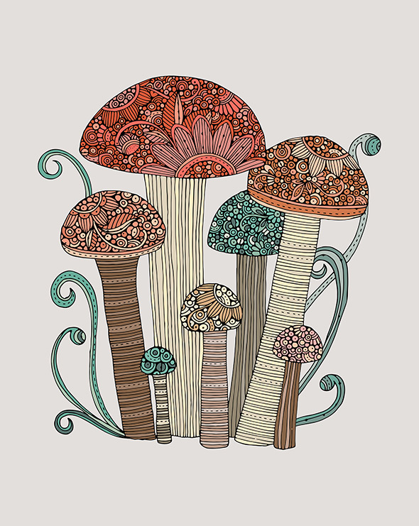 Toadstool Family