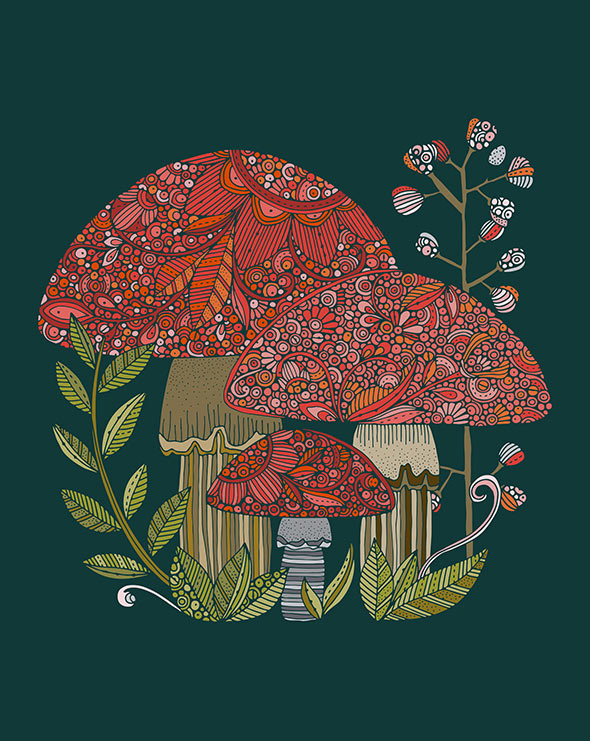 The Toadstool Trio