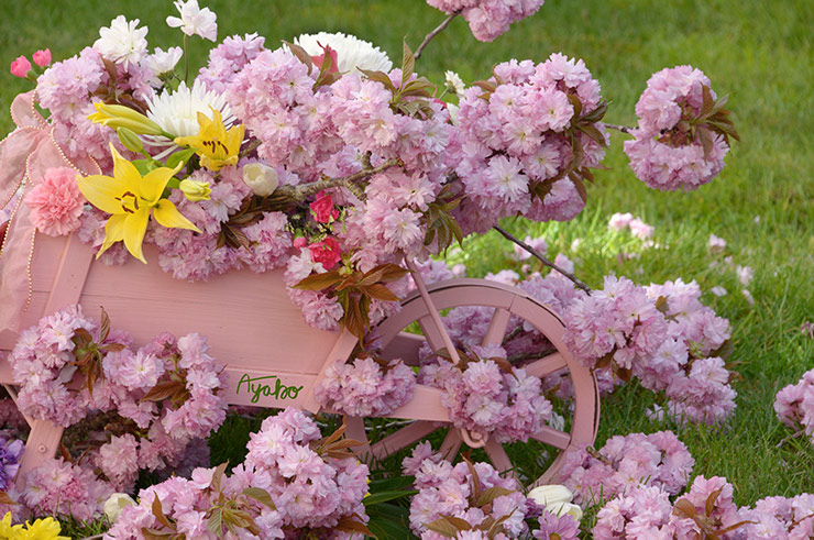 Cherry Blossoms on the Wheelbarrow 8510S