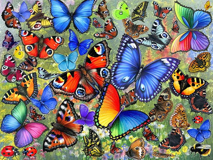 A Flutter Of Butterflies