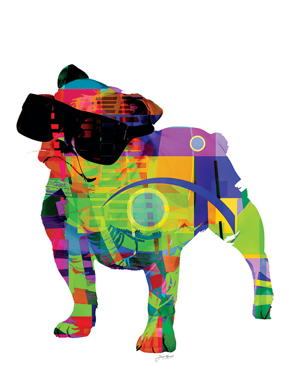 English Bulldog Gets Sunglasses