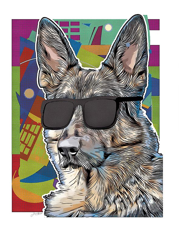 German Shepherd Gets Sunglasses