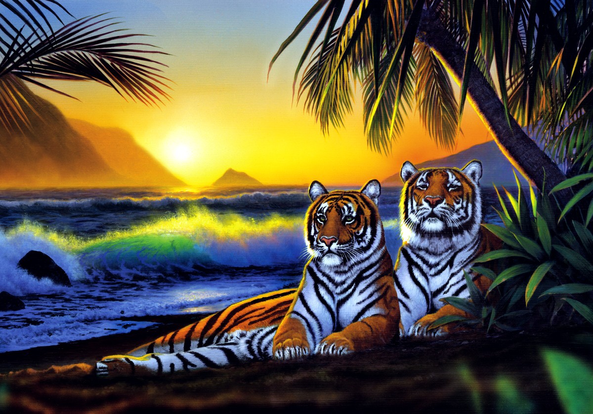 Tropical Tigers