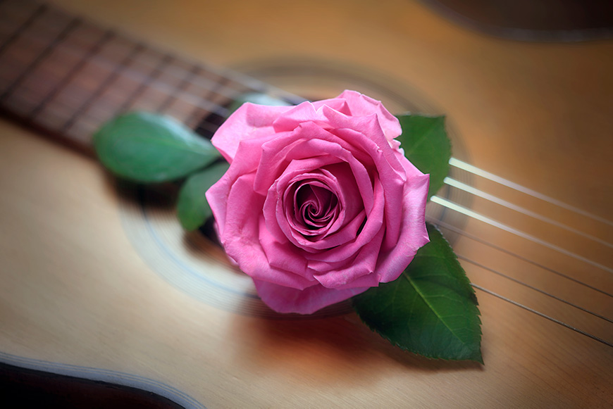 Rose and Guitar F1432