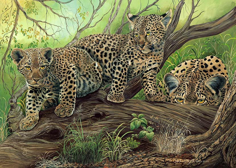 Female Leopard and Cubs