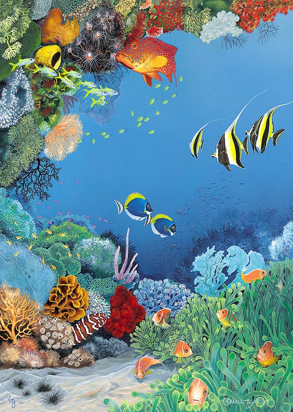 Coral Reef