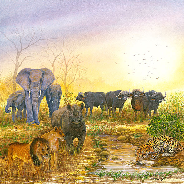 Africa’s Big Five