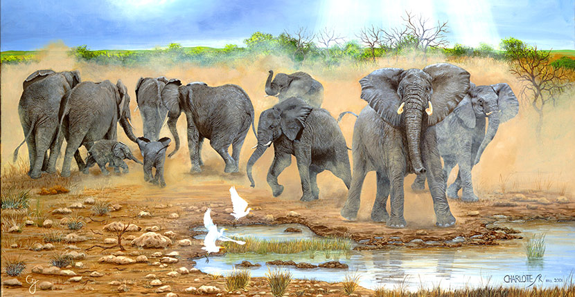 African Elephant Melee