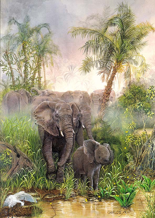 African Elephants