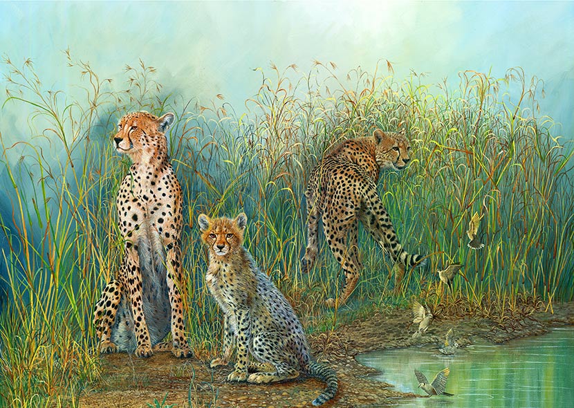 Cheetah Trio