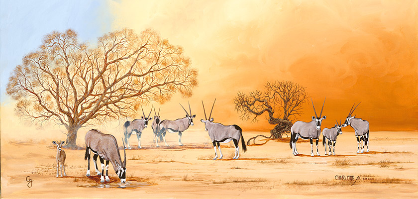 Gemsbok Dust Storm