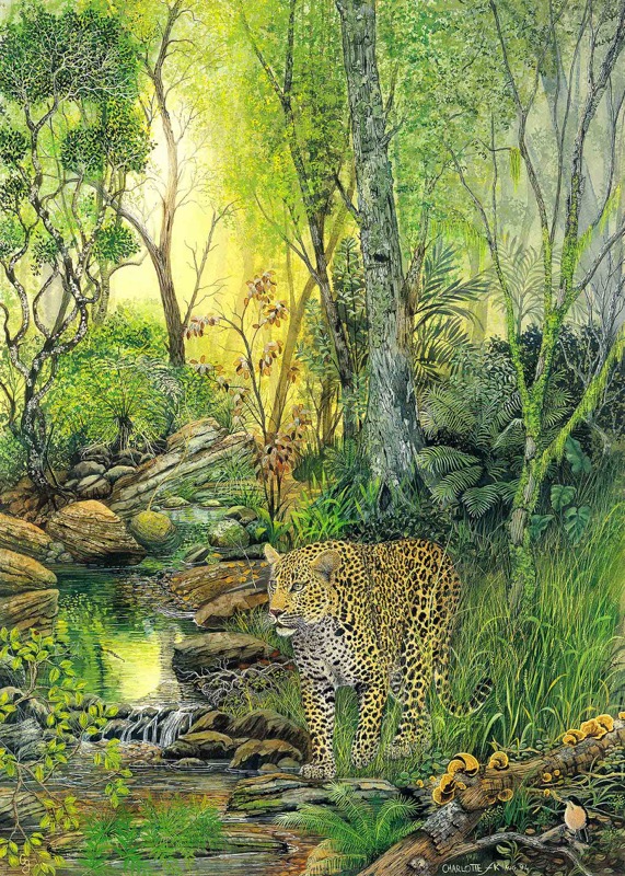 Forest Leopard