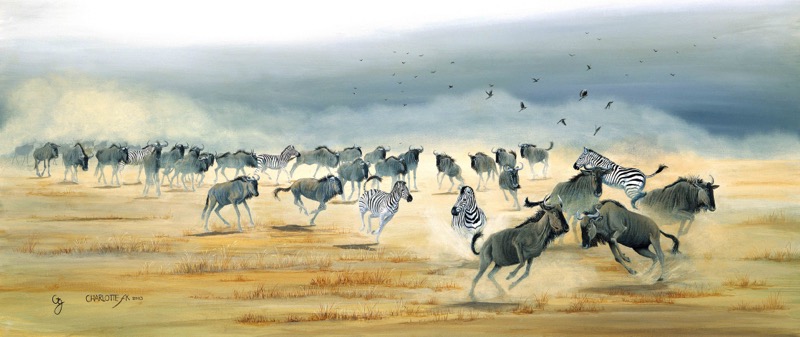 Wildebeest Flight